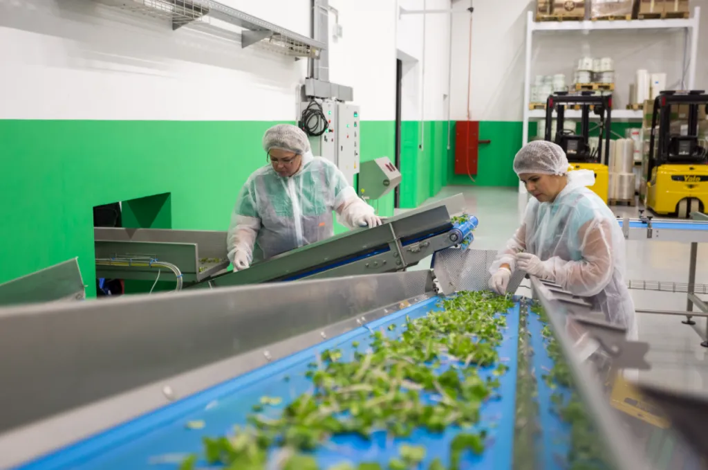 Vistrian - Food-Beverages - Level up your production with automation